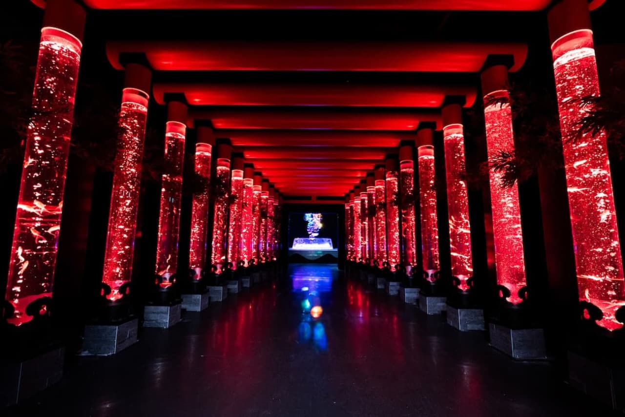 Art Aquarium Museum GINZA Ticket - image 2